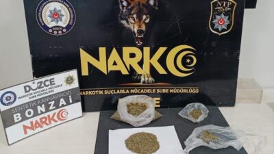 DÜZCE CUMHURİYET BAŞSAVCILIĞI KOORDİNESİNDE POLİS EKİPLERİ TARAFINDAN DÜZENLENEN SOKAK ÇALIŞMASINDA