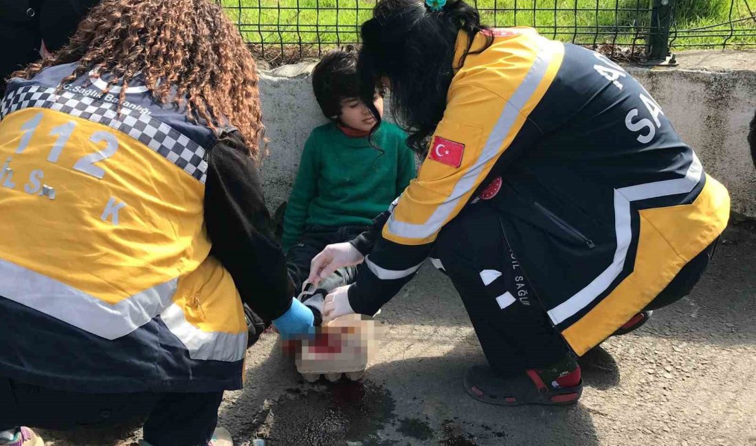 SAKARYA’NIN AKYAZI İLÇESİNDE YOLA