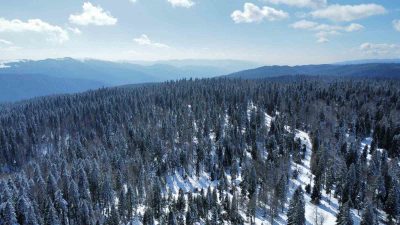 DÜZCE’DE BAHAR AYLARINDA YÜKSEK KESİMLER DE KAR YAĞIŞI KARTPOSTALLIK GÖRÜNTÜLER