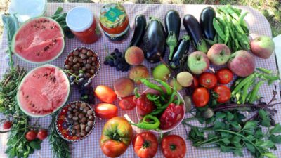 KOCAELİ'DE HAYATA GEÇİRİLEN "FİKİR SİZDEN, DESTEK BİZDEN" PROJESİ KAPSAMINDA TARIMSAL