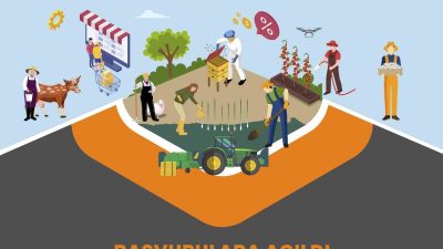 KUZEY ANADOLU KALKINMA AJANSI, 2024 YILI TARIMDA VERİMLİLİK VE KATMA