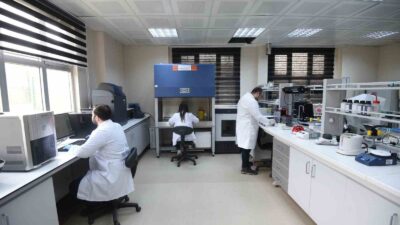 DÜZCE ÜNİVERSİTESİ BİLİMSEL VE TEKNOLOJİK ARAŞTIRMALAR UYGULAMA VE ARAŞTIRMA MERKEZİ