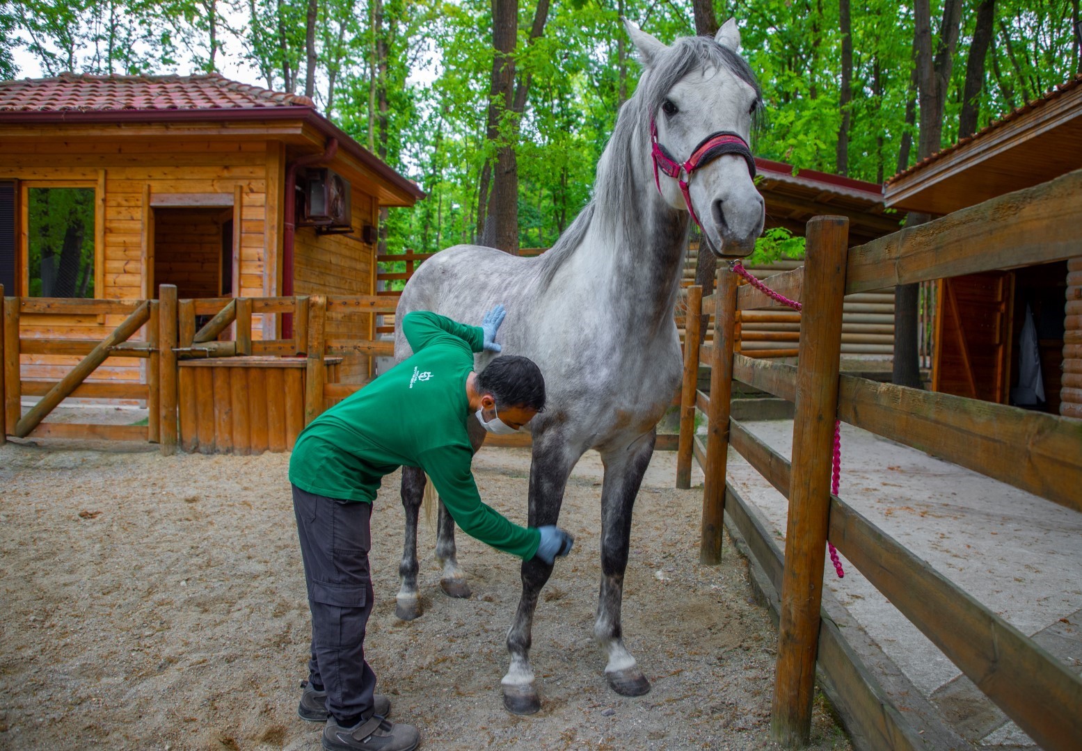 Avrupa’nın en büyük doğal yaşam parkı bayramda doğaseverler için hazırlandı