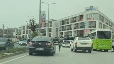 NECMİ HOŞVER CADDESİNDE YOLA ÇIKAN BAŞIBOŞ TAY TRAFİĞİ TEHLİKEYE DÜŞÜRDÜ.