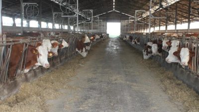 DÜZCE TARIM VE ORMAN İL MÜDÜRLÜĞÜ 2023 YILI 1. DÖNEM