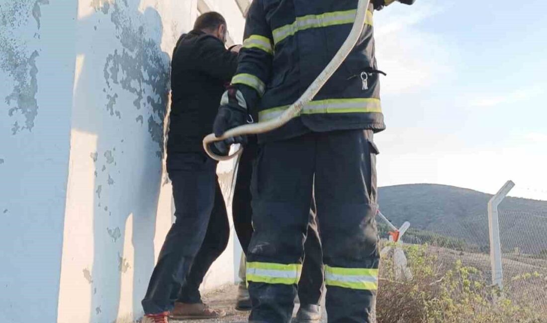 KASTAMONU'NUN TAŞKÖPRÜ İLÇESİNDE BİR DEPOYA GİREN YILAN İTFAİYE EKİPLERİ TARAFINDAN