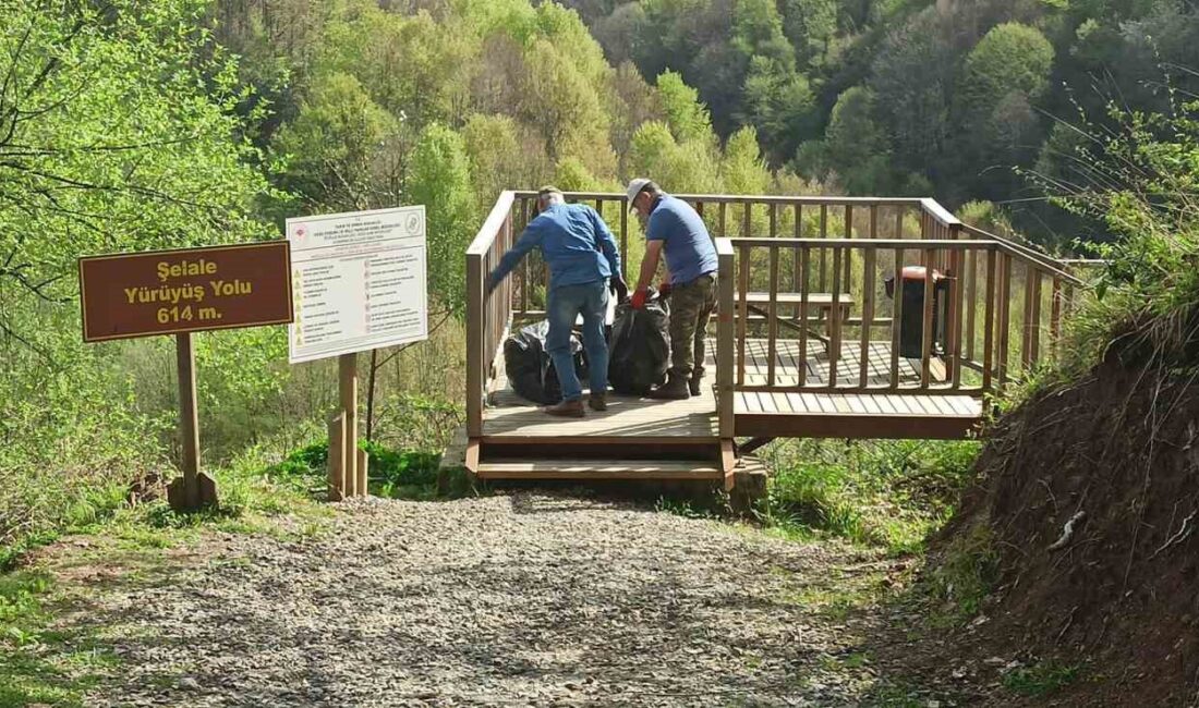 DÜZCE DOĞA KORUMA VE