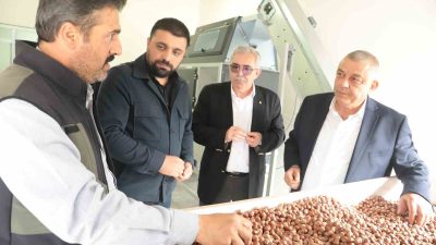 SOSYAL GELİŞMEYİ DESTEKLEME PROGRAMINCA FİNANSE EDİLEN FINDIK ÜRETİCİLERİNİN MİKRO İŞLETMELERE