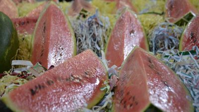 TÜRKİYE'NİN YILLIK 300 BİN TONLA ÖNEMLİ MİKTARDA KARPUZ ÜRETİMİ YAPILAN