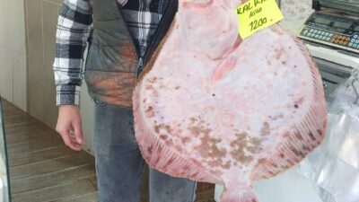 DÜZCE'NİN AKÇAKOCA İLÇESİNDE YAKALANAN 3,5 KİLOGRAM AĞIRLIĞINDAKİ KALKAN BALIĞI KİLOSU