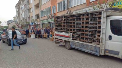 ZİRAAT ODASI TARAFINDAN DÜZCELİ ÇİFTÇİLERE TAVUK DAĞITIMI YAPILDI. UZUN KUYRUKLARIN