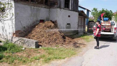 DÜZCE BELEDİYESİ, BAHAR AYLARININ GELMESİYLE BİRLİKTE KENT GENELİNDE LARVA VE