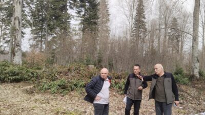 DÜZCE ORMAN İŞLETME MÜDÜRLÜĞÜ TOPUK YAYLASI ORMAN İŞLETME ŞEFLİĞİ, SİLVİKÜLTÜR