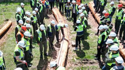 ALADAĞ ORMAN İŞLETME MÜDÜRLÜĞÜNDE ORMAN EMVALİ ÜRETİMİNDE SATIŞ VE PAZARLAMA,