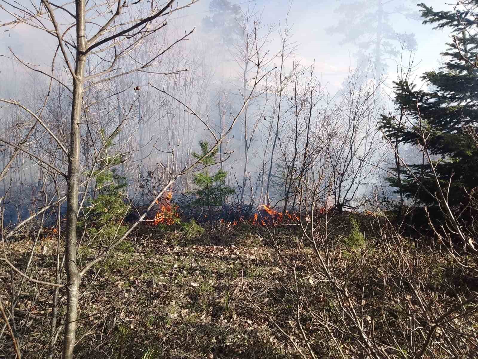 KASTAMONU'NUN DADAY İLÇESİNDE ORMANLIK ALANDA ÇIKAN YANGIN EKİPLER TARAFINDAN SÖNDÜRÜLDÜ.