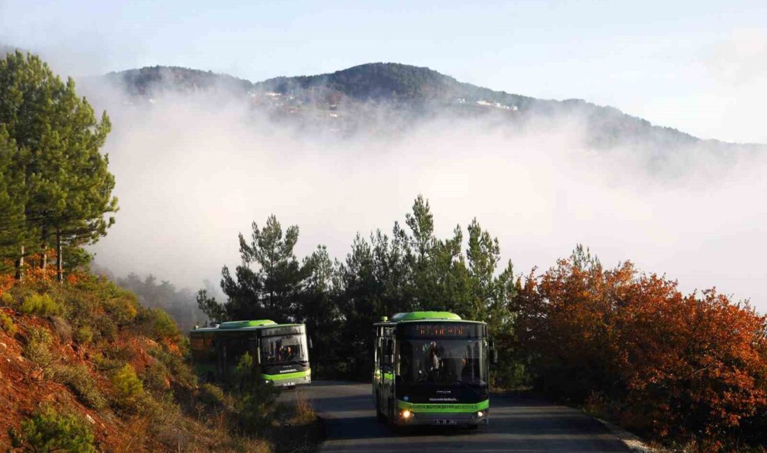 SAKARYA BÜYÜKŞEHİR BELEDİYESİ, AREFE