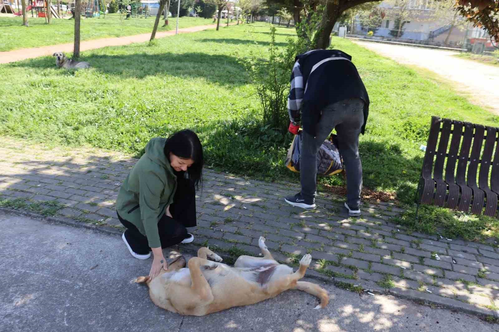 Sokak hayvanlarını unutmadılar