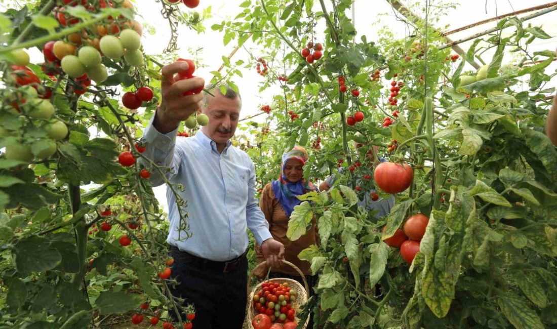 KO-MEK DARICA İLÇE SERGİSİNİN