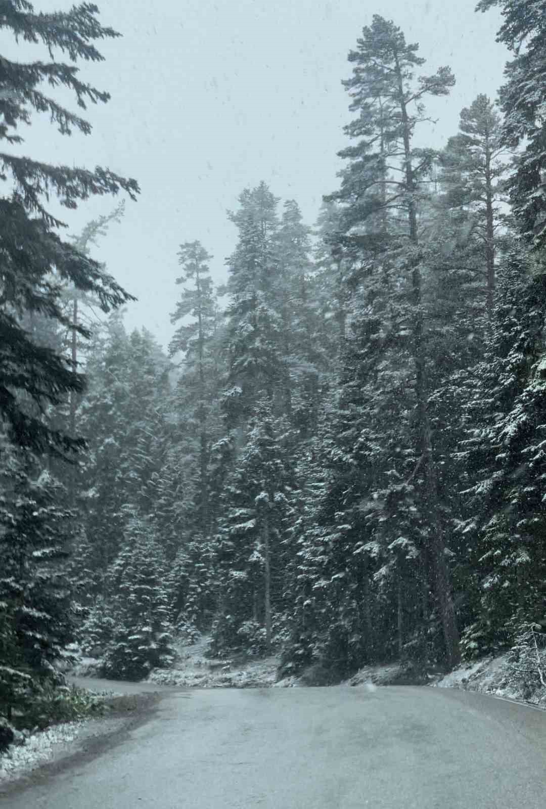 Bolu’da mayıs ayının ortasında kar yağdı