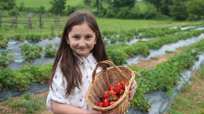 BİLECİK'TE PAZARDA PAHALI OLDUĞUNU GÖREN EŞİNİN TAVSİYESİYLE 1 DÖNÜM YERDE
