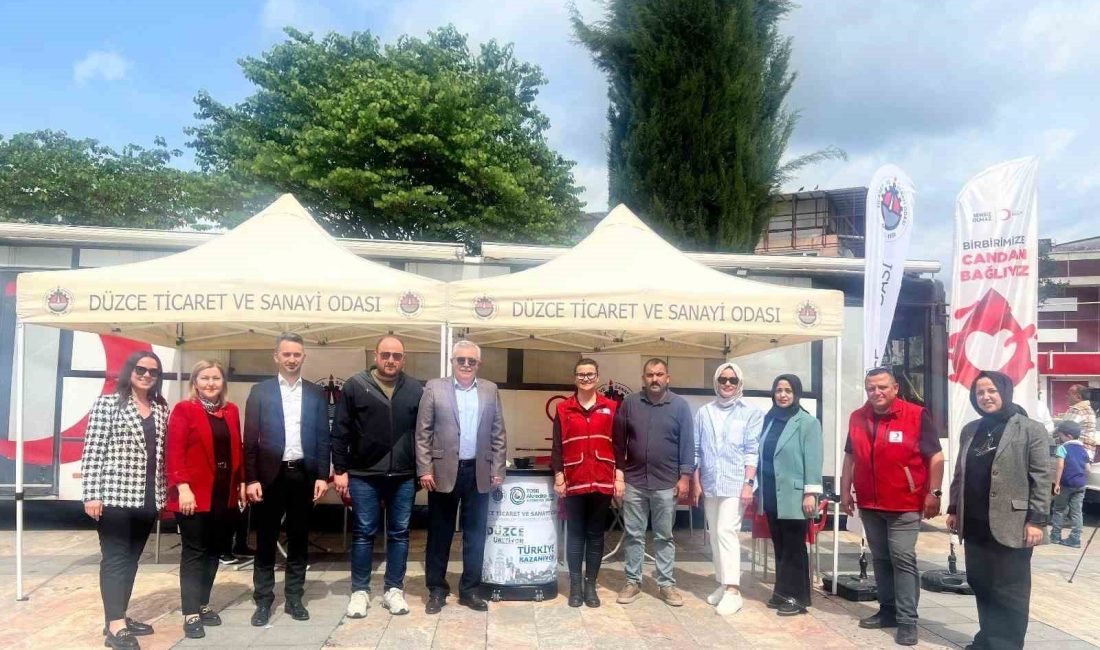 DÜZE TİCARET VE SANAYİ