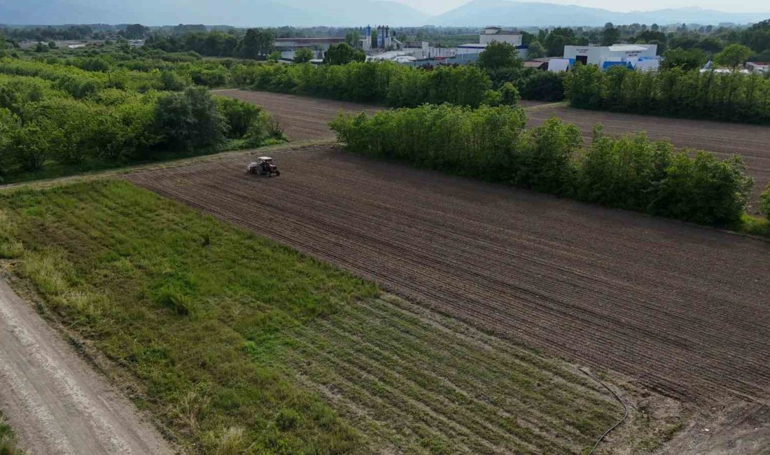 DÜZCE BELEDİYESİ, VERİMLİ TOPRAKLARA