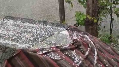 DÜZCE’DE SAĞANAK İLE BİRLİKTE DOLU YAĞIŞI ETKİLİ OLDU. TARIM ARAZİLERİ