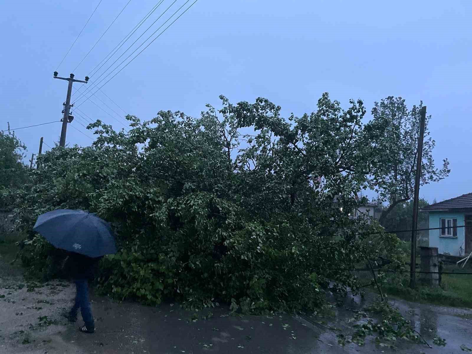 Düzce’de şiddetli rüzgar ağacı ve direği devirdi