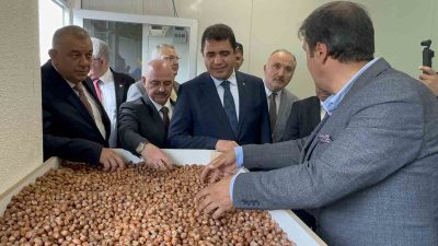 DÜZCE’DE FINDIK ÜRETİCİLERİNE DESTEK VERMEK AMACI İLE GELİŞTİRİLEN PROJE ÇERÇEVESİNDE