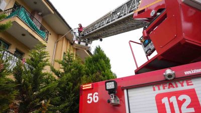 DÜZCE BELEDİYESİ İTFAİYE MÜDÜRLÜĞÜ, BAHÇEYE DÜŞEN YAVRU SERÇENİN YUVASINI BULMAK