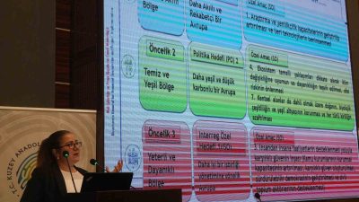 AB İŞLERİ UZMANI AYŞE DENİZ ARICAN, PROJE BAŞVURU SÜRECİ VE