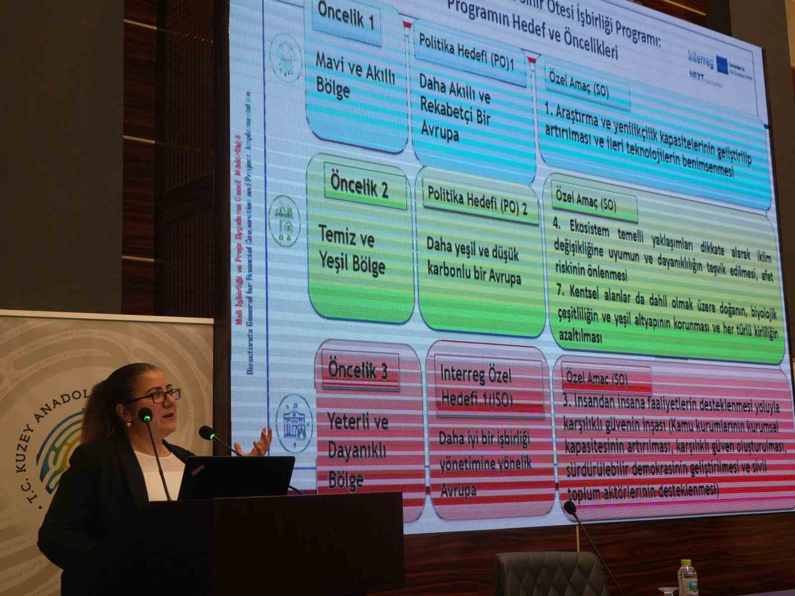 AB İŞLERİ UZMANI AYŞE DENİZ ARICAN, PROJE BAŞVURU SÜRECİ VE