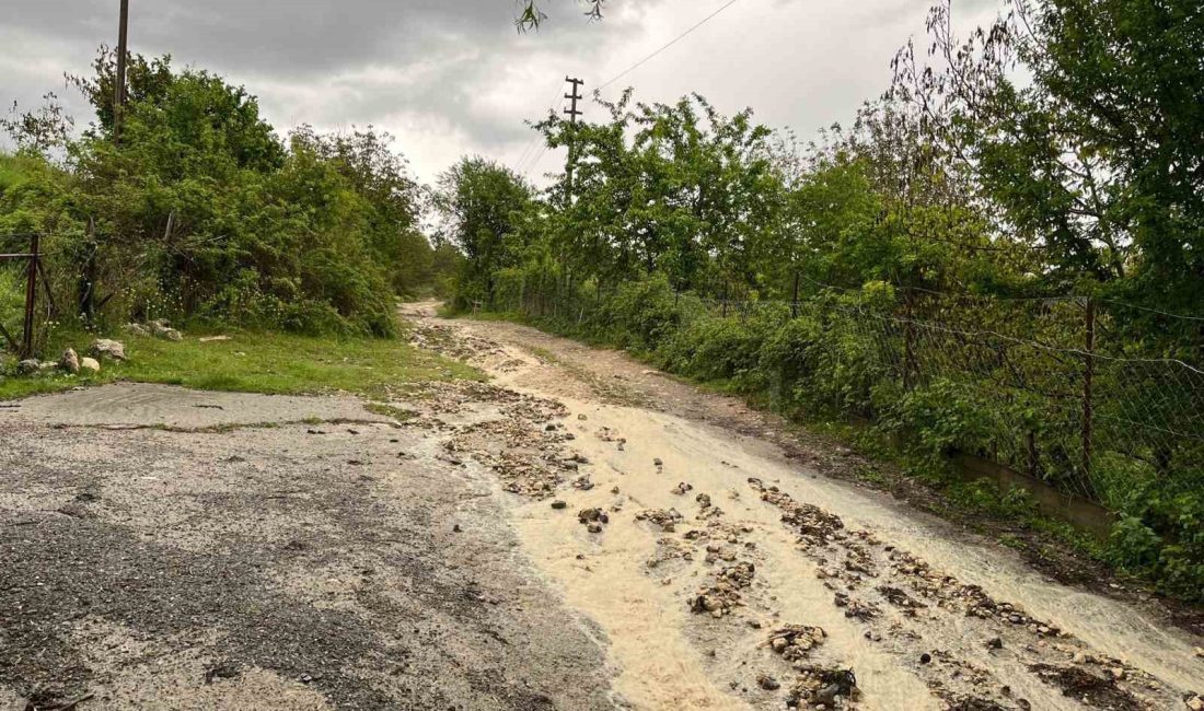 KASTAMONU’NUN İHSANGAZİ İLÇESİNDE DOLU YAĞIŞI ETKİLİ OLDU. DOLU YAĞIŞI SEBEBİYLE