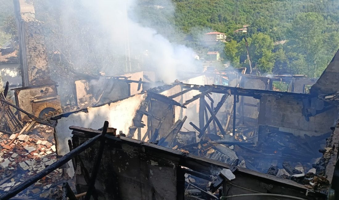 KASTAMONU’NUN CİDE VE İL MERKEZİNDE ÇIKAN İKİ FARKLI YANGINDA ÜÇ