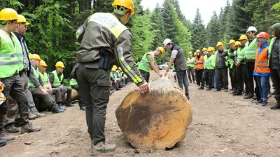DÜZCE’DE ORMANCILARA DOĞRU AĞAÇ KESME, İŞ SAĞLIĞI VE GÜVENLİĞİ EĞİTİMLERİ