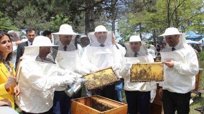 KOVANDA ARI, YIĞILCA’DA HAYAT VAR PROJESİ YÜKSEK ÖĞRETİM KURUMU (YÖK)