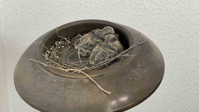 DÜZCE İL GENEL MECLİS BAŞKANI FAZLI KOÇ'UN MAKAM ODASININ BALKONUNDA