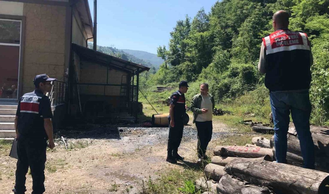 SAKARYA'NIN AKYAZI İLÇESİNDE ORMAN