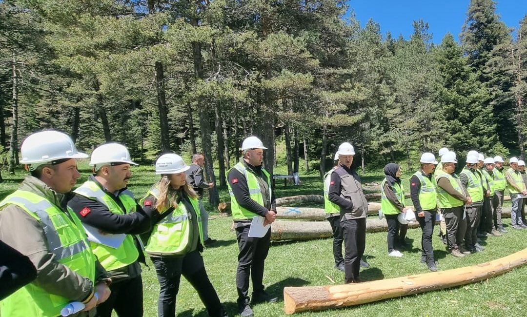 BOLU ORMAN BÖLGE MÜDÜRLÜĞÜ