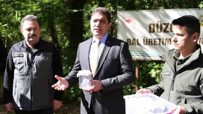 DÜZCE’DE ÖZELLİKLE KESTANE AĞAÇLARINA ZARAR VEREN GAL ARISIYLA MÜCADELE İÇİN