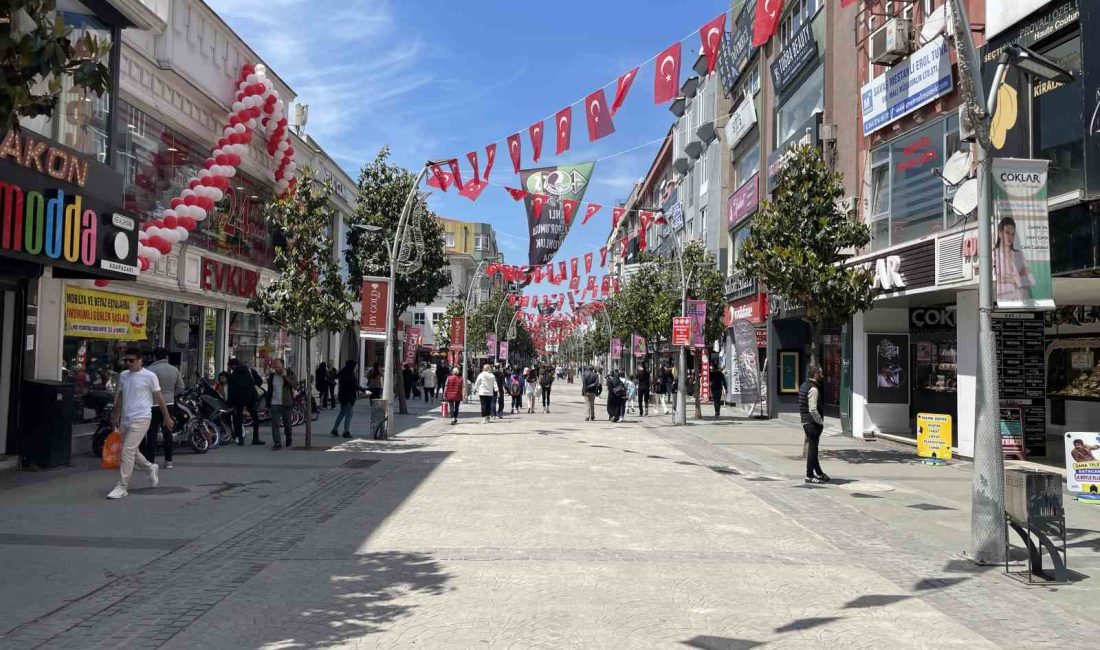 SAKARYA’NIN ADAPAZARI İLÇESİ ÇARK