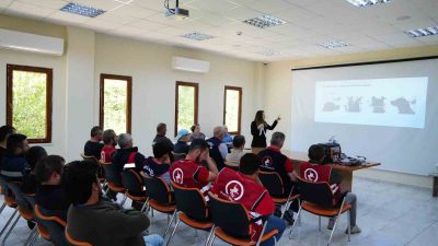 DÜZCE BELEDİYESİ TARAFINDAN İLÇE BELEDİYELERİ TARAFINDAN OLUŞTURULAN SOKAK HAYVANLARINI YAKALAMA