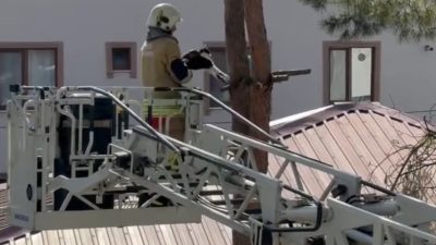 DÜZCE’DE AĞACA TIRMANAN KEDİNİN TIRNAĞI AĞACA SIKIŞTI. KEDİYE İTFAİYE EKİPLERİNCE