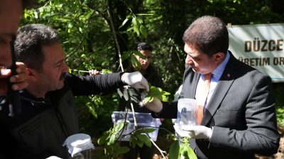 BOLU VE BURSA’DA ORMAN ZARARLILARIYLA MÜCADELE LABORATUVARLARINDA ÜRETİLEN GAL ARIZI