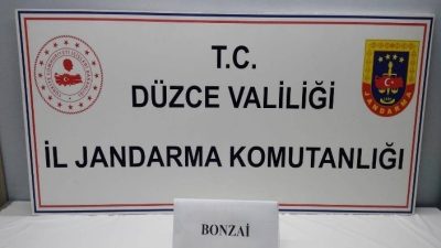 DÜZCE’DE JANDARMA EKİPLERİ TARAFINDAN YAPILAN OPERASYONDA UYUŞTURUCU MADDE KULLANAN 13
