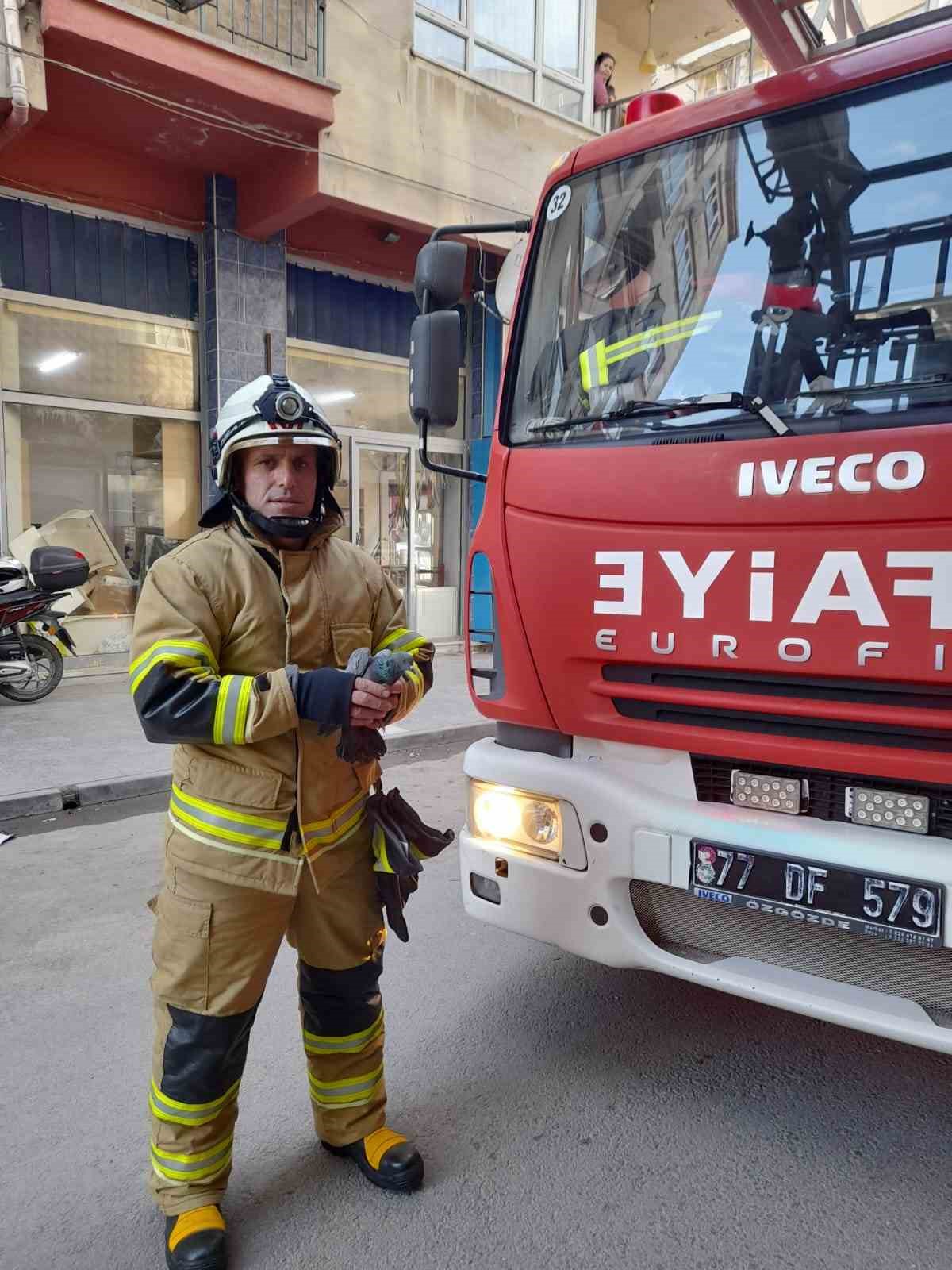 Yalova’da pencere ile sineklik arasında mahsur kalan güvercin kurtarıldı