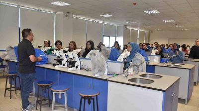 DÜZCE CEMİL MERİÇ ANADOLU LİSESİ ÖĞRENCİLERİ, YÜKSEKÖĞRETİM KURUMLARI SINAVI (YKS)