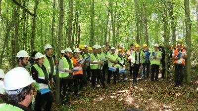 DÜZCE'DE 2024 YILI AĞAÇLANDIRMA VE SİLVİKÜLTÜR EĞİTİMİ YAPILDI.