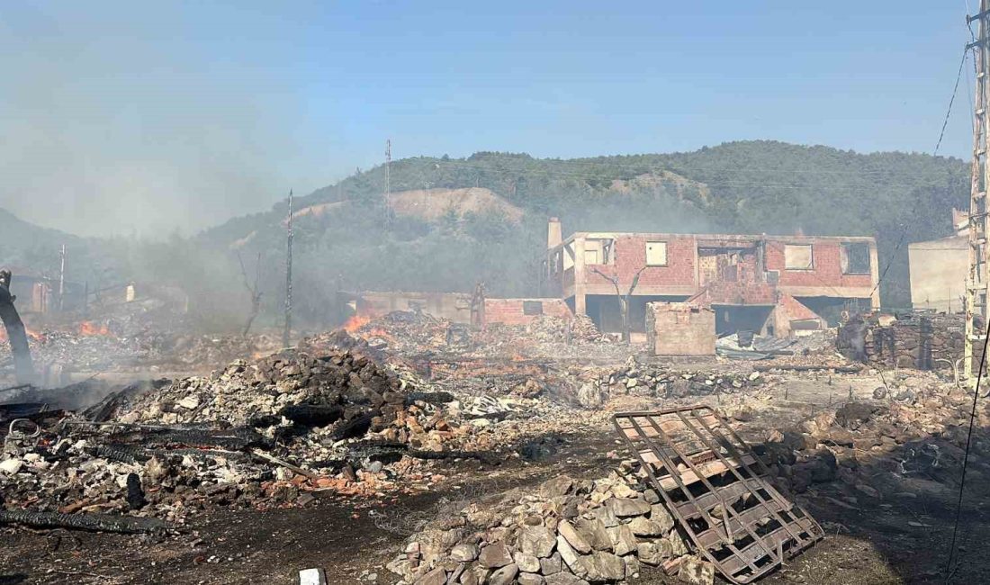 KASTAMONU’NUN ARAÇ İLÇESİNDE ÇIKAN KÖY YANGININA EKİPLERİN MÜDAHALESİ SÜRERKEN, 12