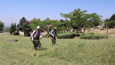 DÜZCE'DE HAVA SICAKLIKLARININ ARTMASI SEBEBİ İLE MESİRE ALANLARINA İLGİ ARTINCA,